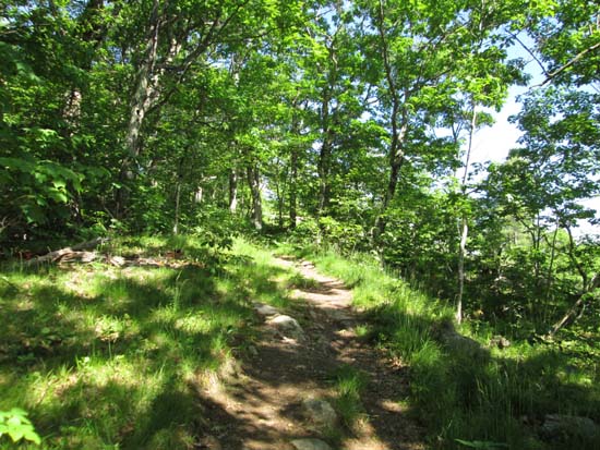 Looking up the Bald Knob Cutoff
