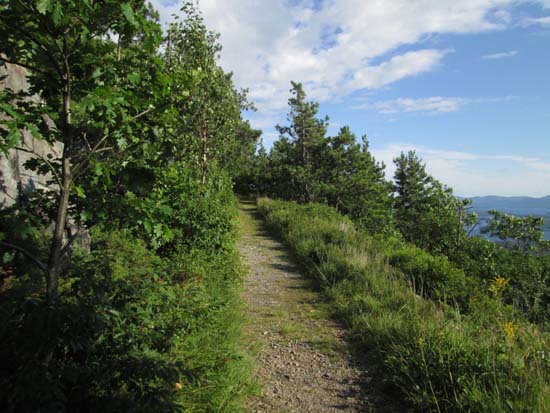 Looking up the Bald Knob Trail