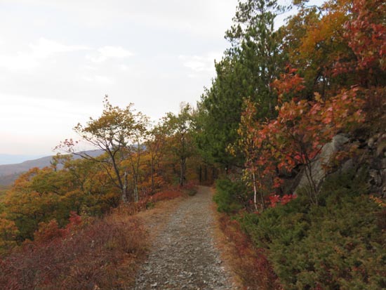 Looking down the Bald Knob Trail