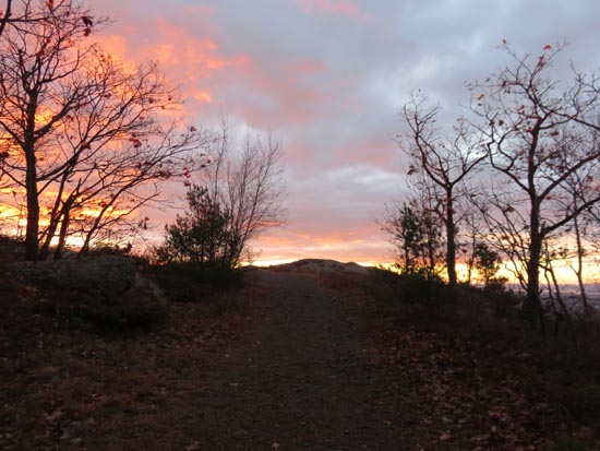 Looking up the Bald Knob Trail