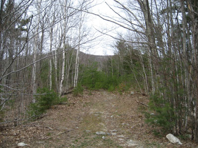 Bald Knob Trail trailhead