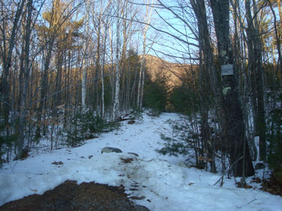 Bald Knob Trail trailhead