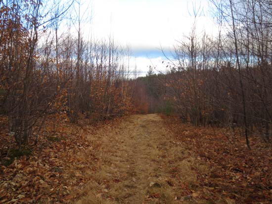 The Bald Ledge Trail