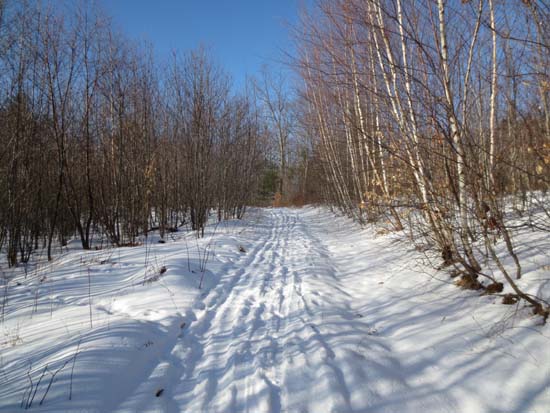The Bald Ledge Trail