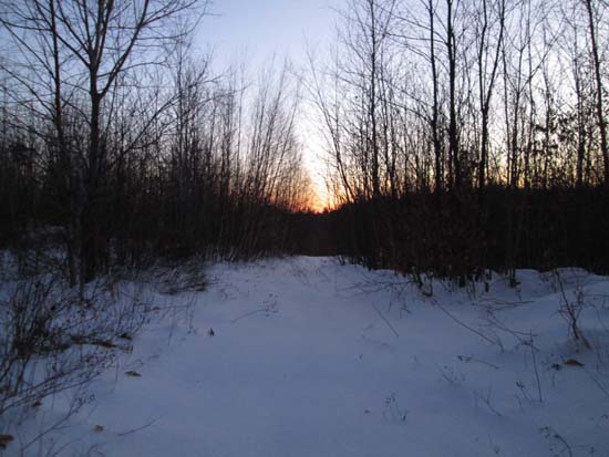 The Bald Ledge Trail