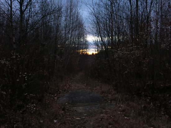 The Bald Ledge Trail