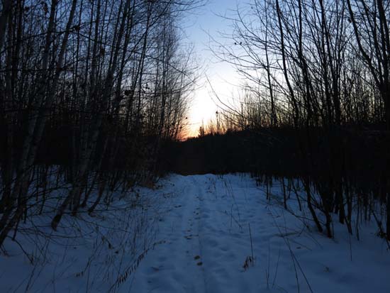 The Bald Ledge Trail