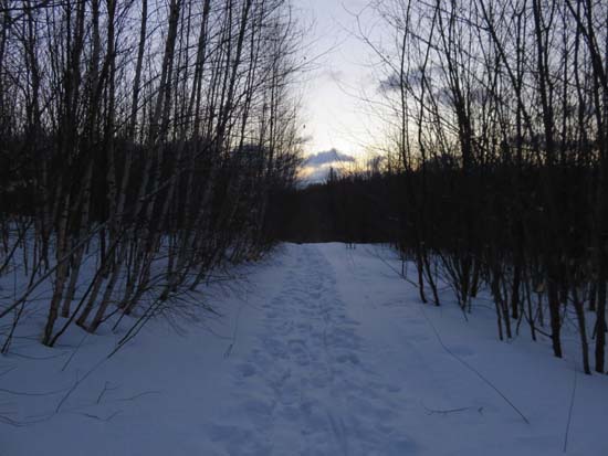 The Bald Ledge Trail