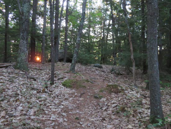 The Bald Ledge Trail