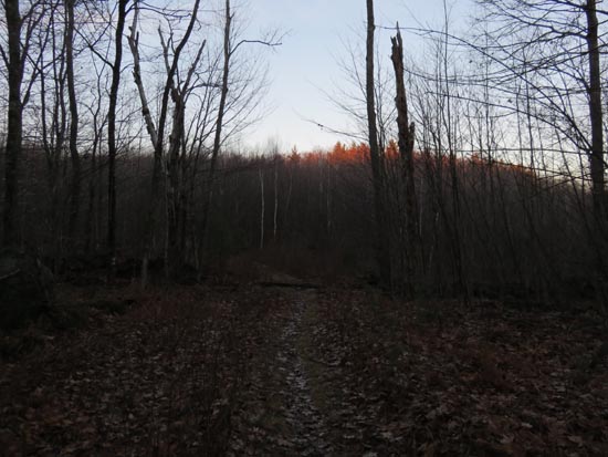 The Bald Ledge Trail