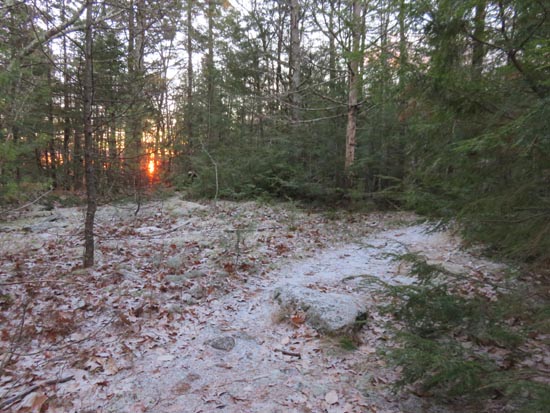 The Bald Ledge Trail