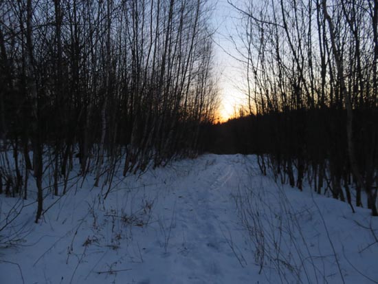 The Bald Ledge Trail