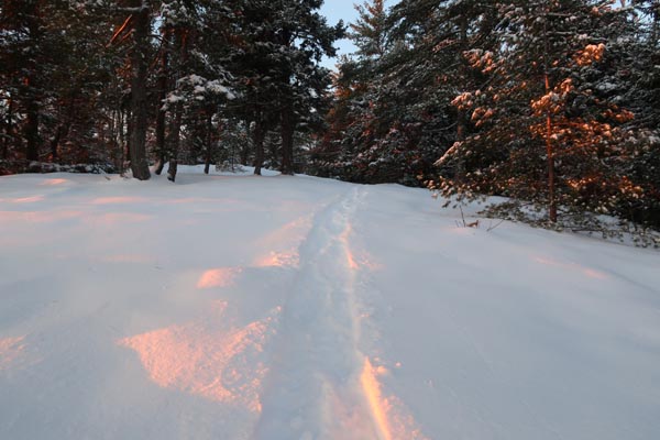 The Bald Ledge Trail