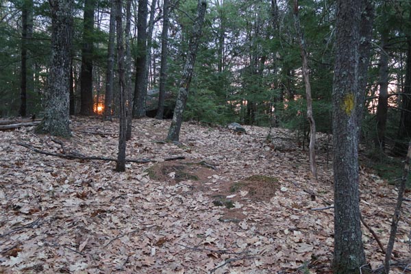The Bald Ledge Trail
