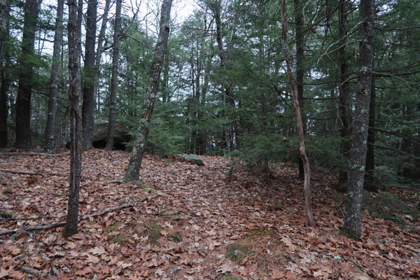 The Bald Ledge Trail