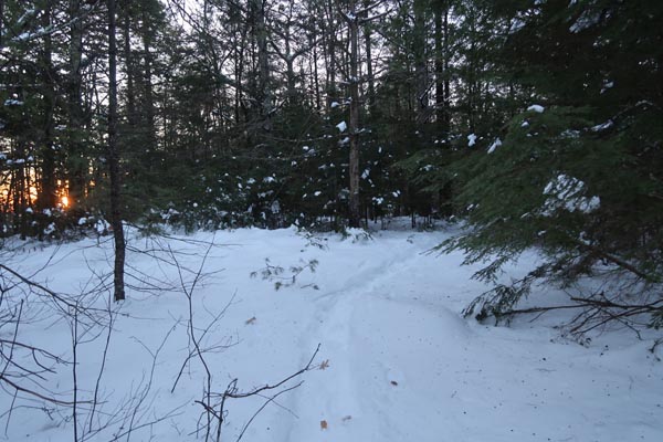The Bald Ledge Trail