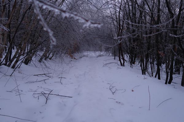 The Bald Ledge Trail