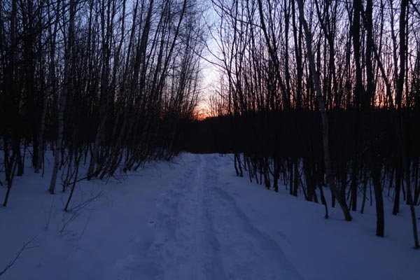 The Bald Ledge Trail