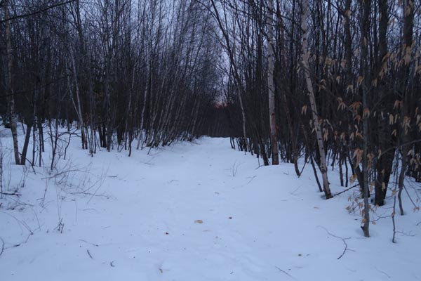 The Bald Ledge Trail