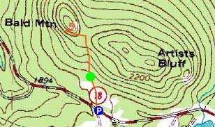 Topographic map of Bald Mountain