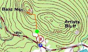 Topographic map of Bald Mountain