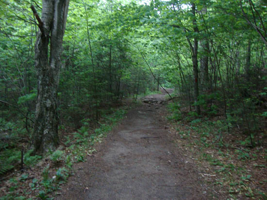 Looking up the Bald Mountain-Artist's Bluff Path