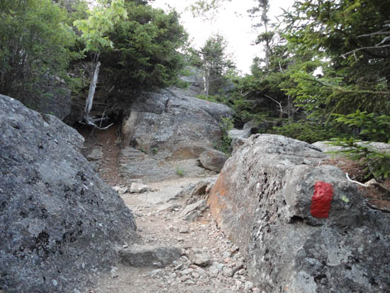 Looking up the Bald Mountain-Artist's Bluff Path