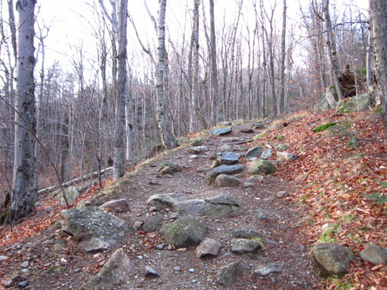 Looking up the Bald Mountain-Artist's Bluff Path