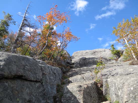 Looking up the Bald Mountain spur trail