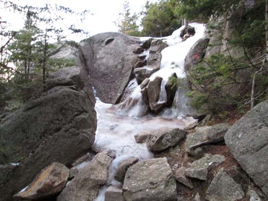 Ice on the Bald Mountain spur trail