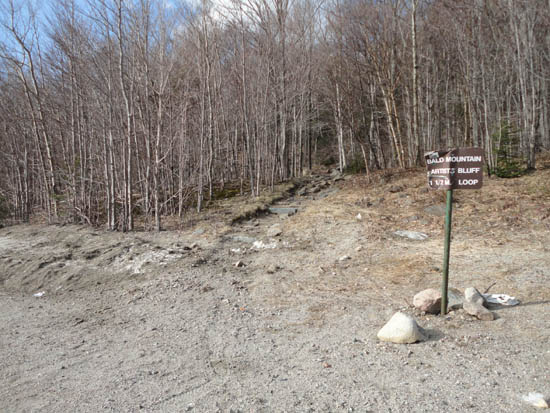 The Bald Mountain-Artist's Bluff Path trailhead