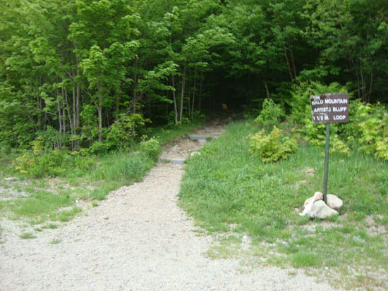 The Bald Mountain-Artist's Bluff Path trailhead