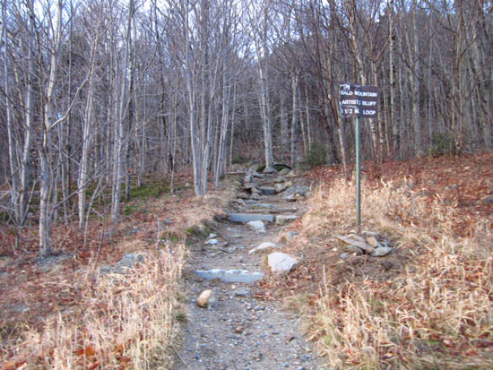The Bald Mountain-Artist's Bluff Path trailhead