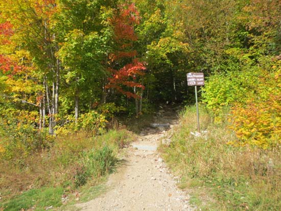 The Bald Mountain-Artist's Bluff Path trailhead