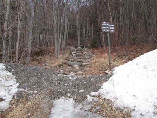 The Bald Mountain-Artist's Bluff Path trailhead