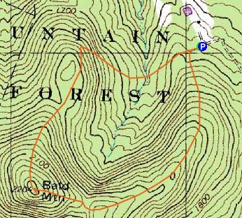 Topographic map of Bald Mountain