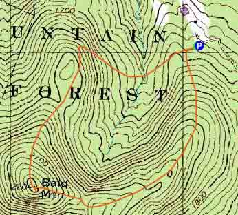 Topographic map of Bald Mountain
