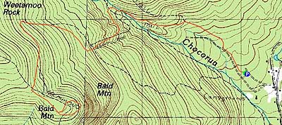 Topographic map of Bald Mountain - Click to enlarge
