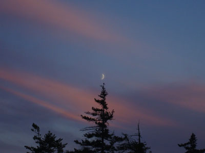 Looking at Mt. Chocorua and the Three Sisters from the Bald Mountain ledges - Click to enlarge