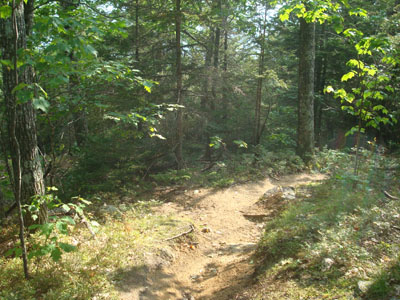 Looking down the Hammond Trail on the way to Bald Mountain