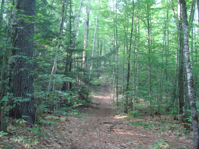 The Hammond Trail trailhead off Scott Road