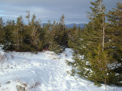 Looking down the spur trail to Bald Peak