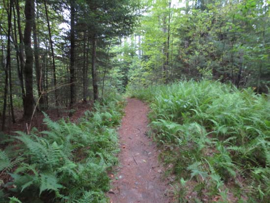 The Bald Knob Spur