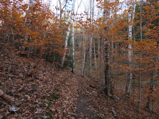 The Mt. Kinsman Trail