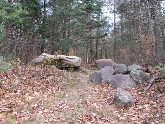 The start of the woods road to Banks Pinnacle