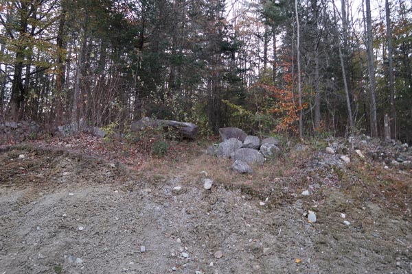 The start of the woods road to Banks Pinnacle