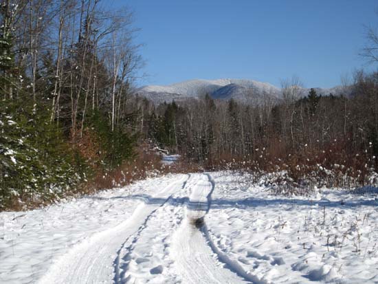 A logging road on the way to Barron Mountain