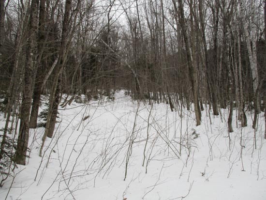 Bushwhacking to Bartlett Haystack