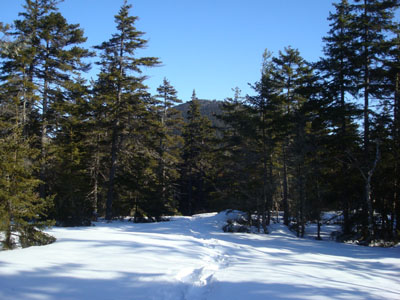 Looking down the Bartlett Path
