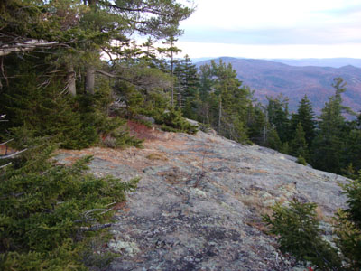 The Bartlett Path near the summit